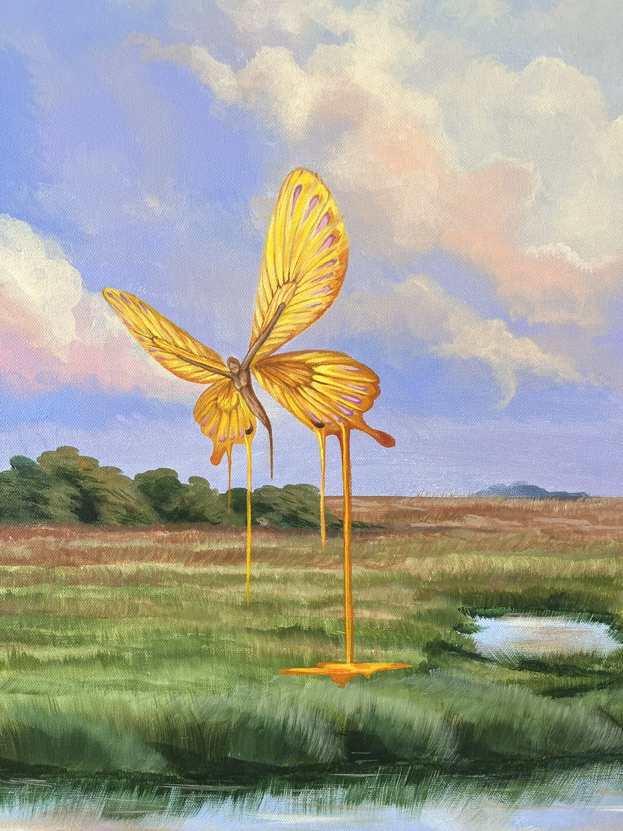 painted a melting butterfly