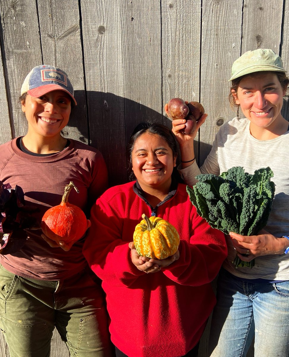 Just Fare tweet media