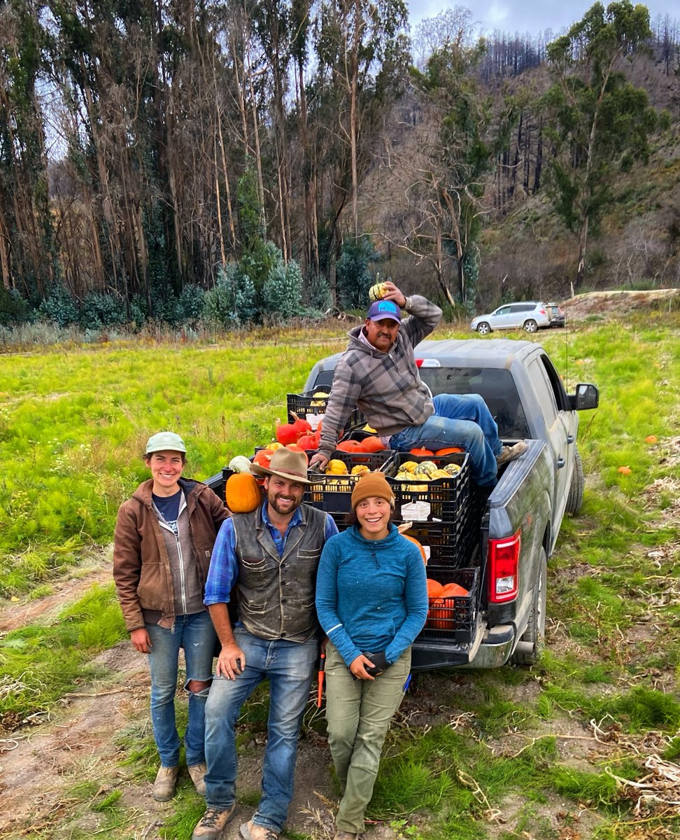 Just Fare tweet media