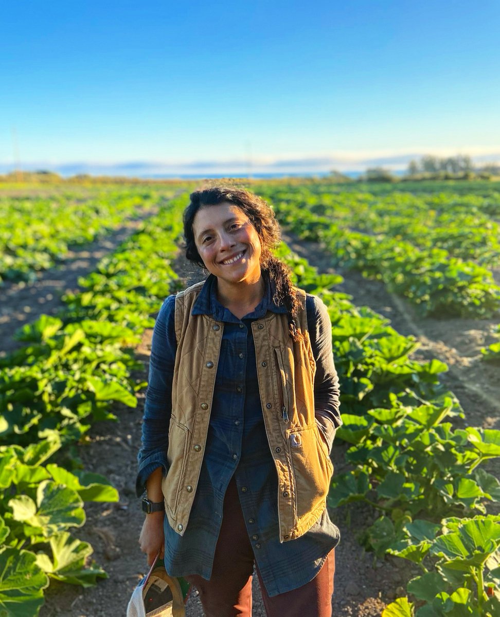 Just Fare tweet media