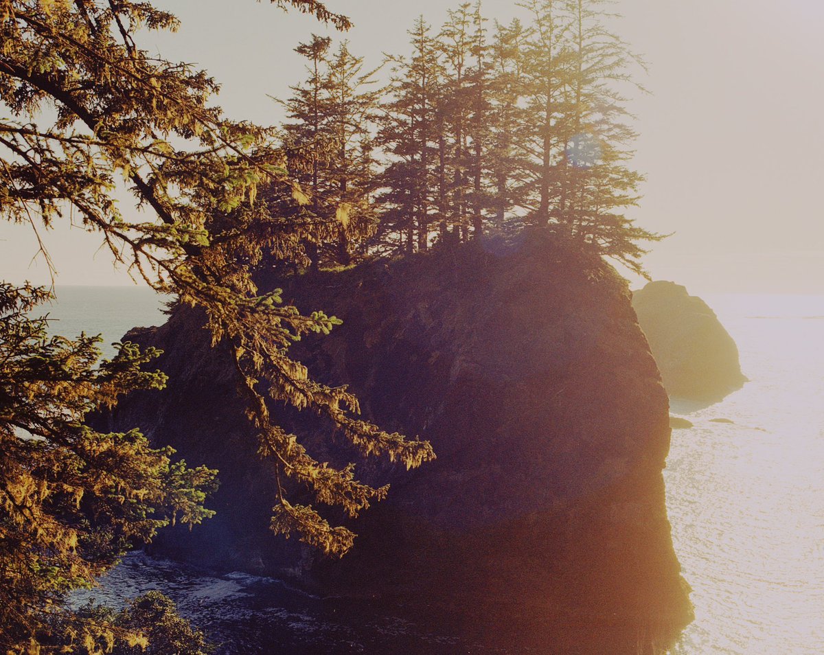 JoseePearlson's tweet photo. Prime spots captured on medium format 🎞️ https://t.co/9w67gUVjPL