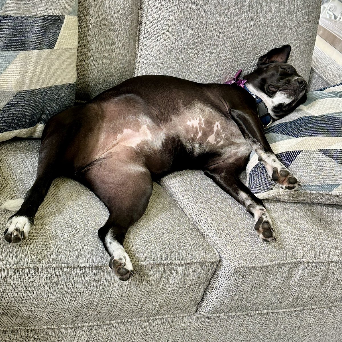 Pirate’s Table Calabash Seafood Buffet tweet media