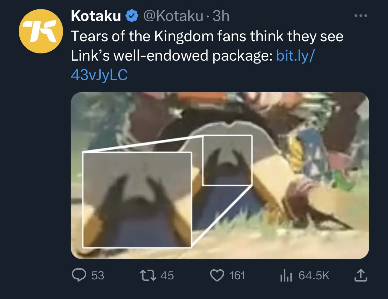 Tears of the Kingdom Fans Think They See Link's 'Package