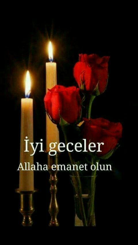 🇹🇷 Tayyip 🇹🇷 tweet media