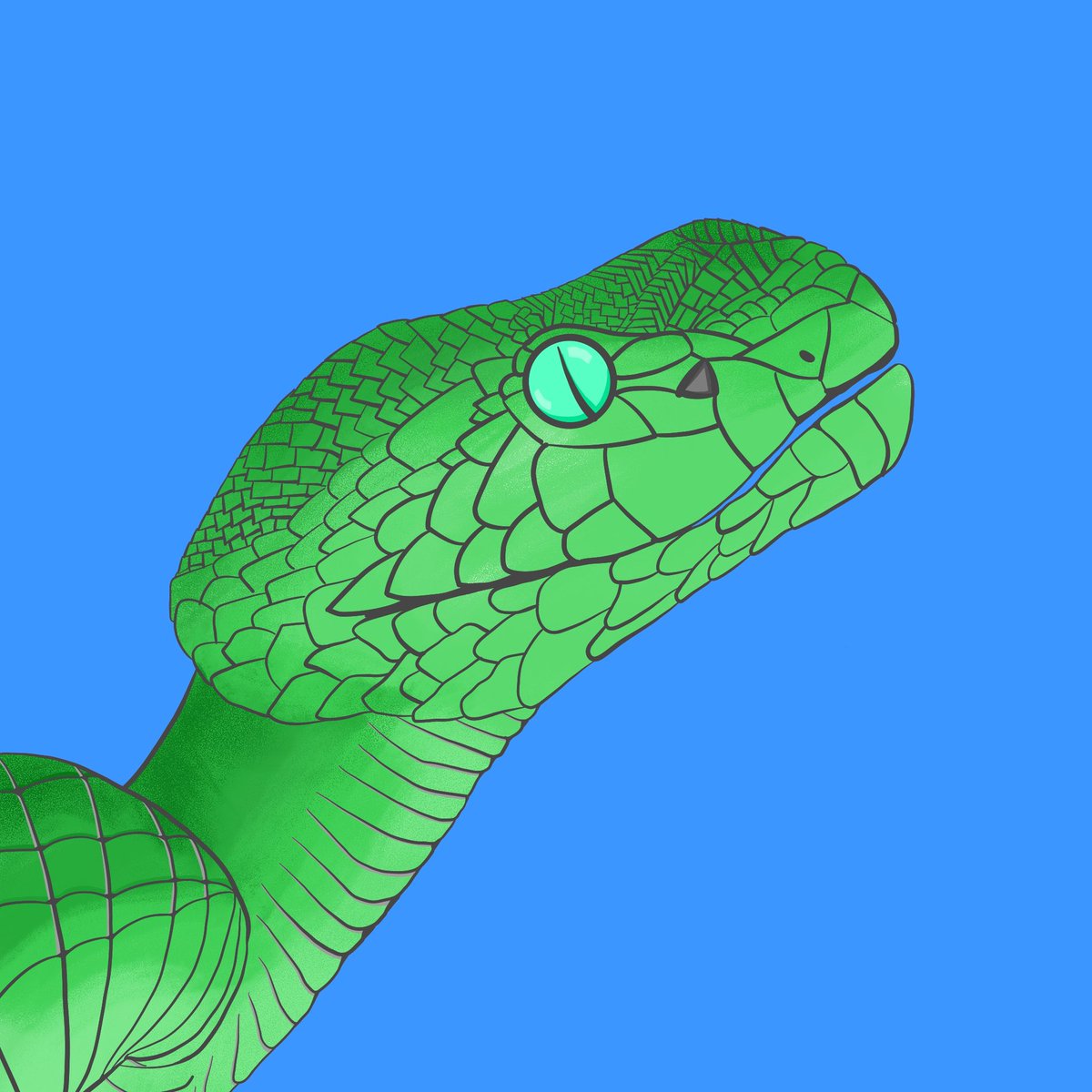 AlgoNFT_Quilt's tweet photo. If your interested in joining the #Basic family here are the @RandGallery links w/ $Basic drop rate. 

Basic Belinda - https://t.co/73RZvVVdmp (50/w)

Pixelindas - https://t.co/JcNPB3Y11Y (10/w)

BoB - https://t.co/DDrrgJr4yt (1/d)

Pixelindas II - https://t.co/jekqx5ZU8e (3/d) https://t.co/NNUBMMZPzt