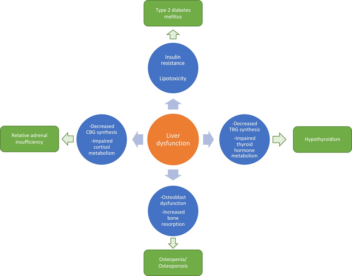 Lizzie Aby, MD tweet media