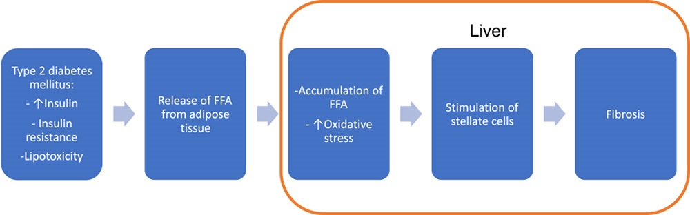 Lizzie Aby, MD tweet media