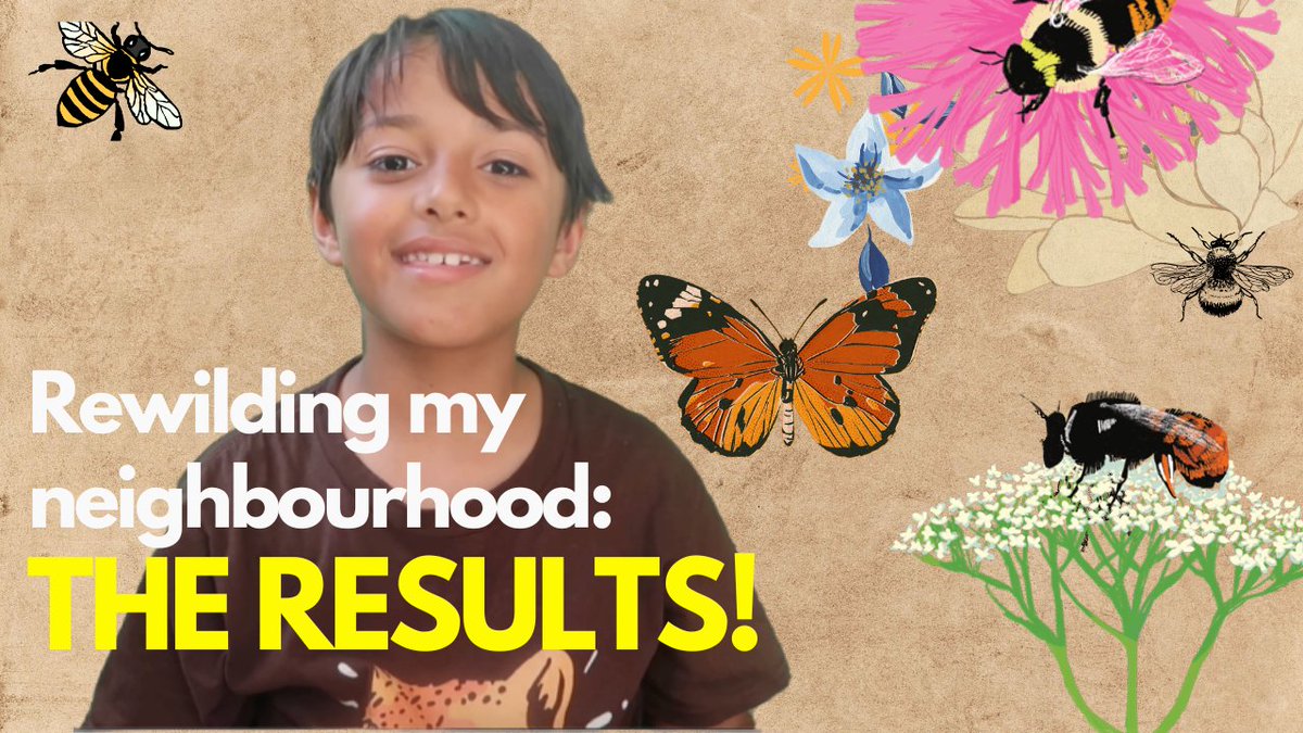 My Rewilding project results video is live on my channel! youtu.be/BlQr4ySLdbo Thank you to everyone who supported me with this project! Let's swarm to defend nature and wildlife! 💚🐝🦋#NatureForAll