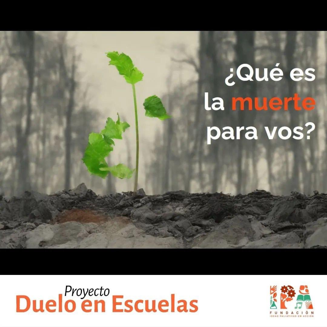 AleNespral's tweet photo. Terminamos el curso de Duelo en Escuelas! + de 30 personas de varios países sea de Latam aprendiendo y practicando herramientas para acompañar escuelas en el contexto del duelo y la muerte

Grandísima experiencia!
Te interesa el tema?
Avísanos a contacto@fundacionipa.org https://t.co/lGBvDdrLR4