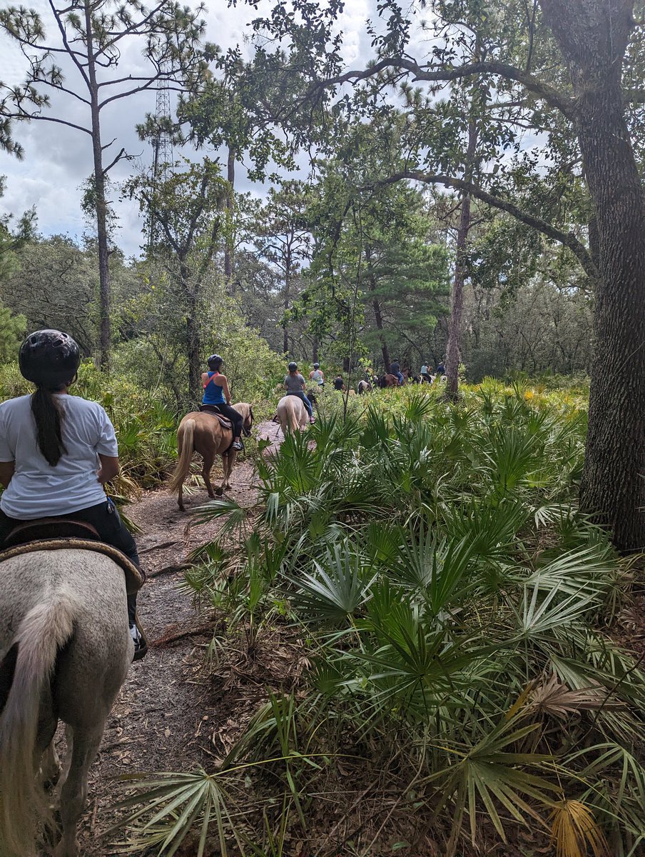 Emily Compton OCPS tweet media