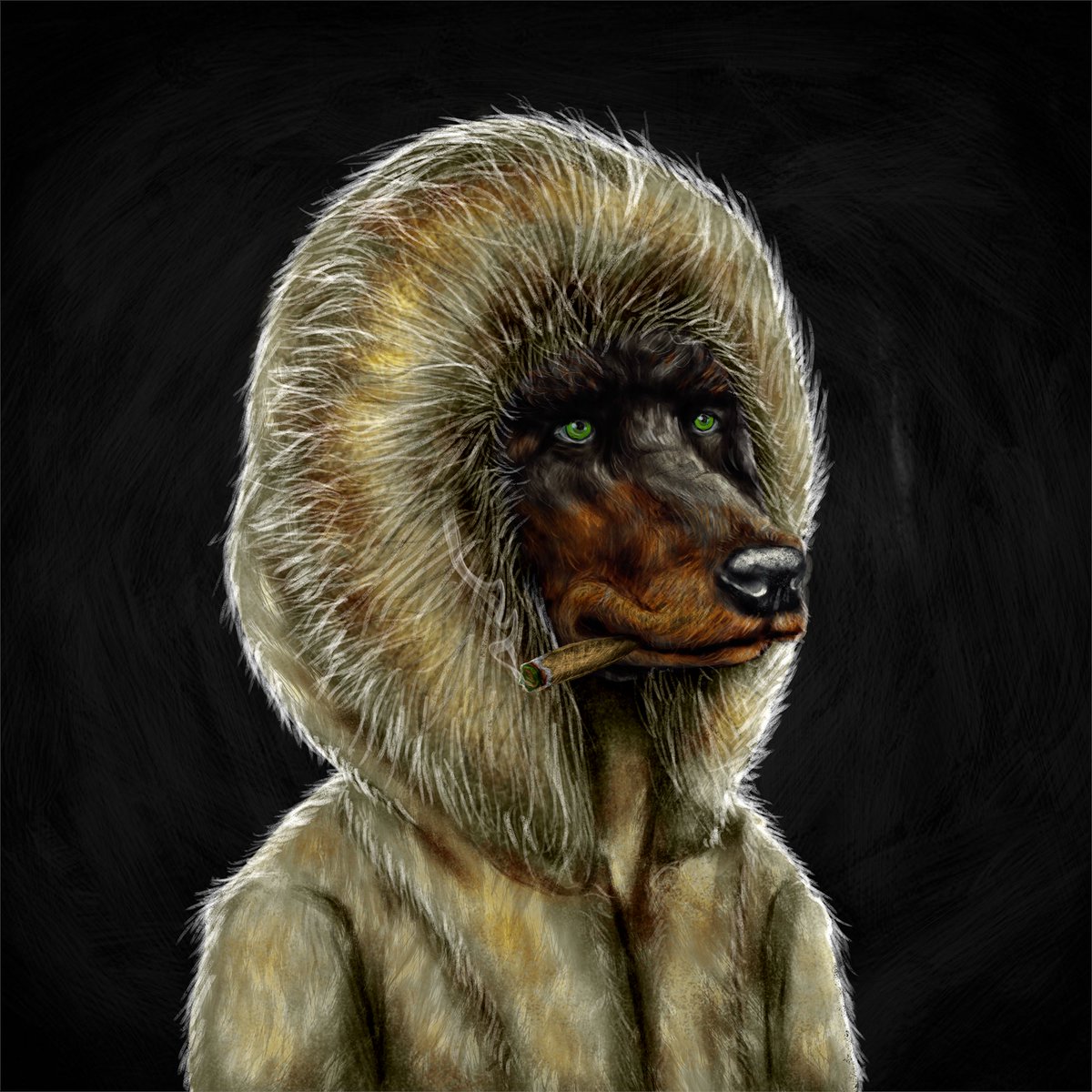 The Pedigree Society tweet media