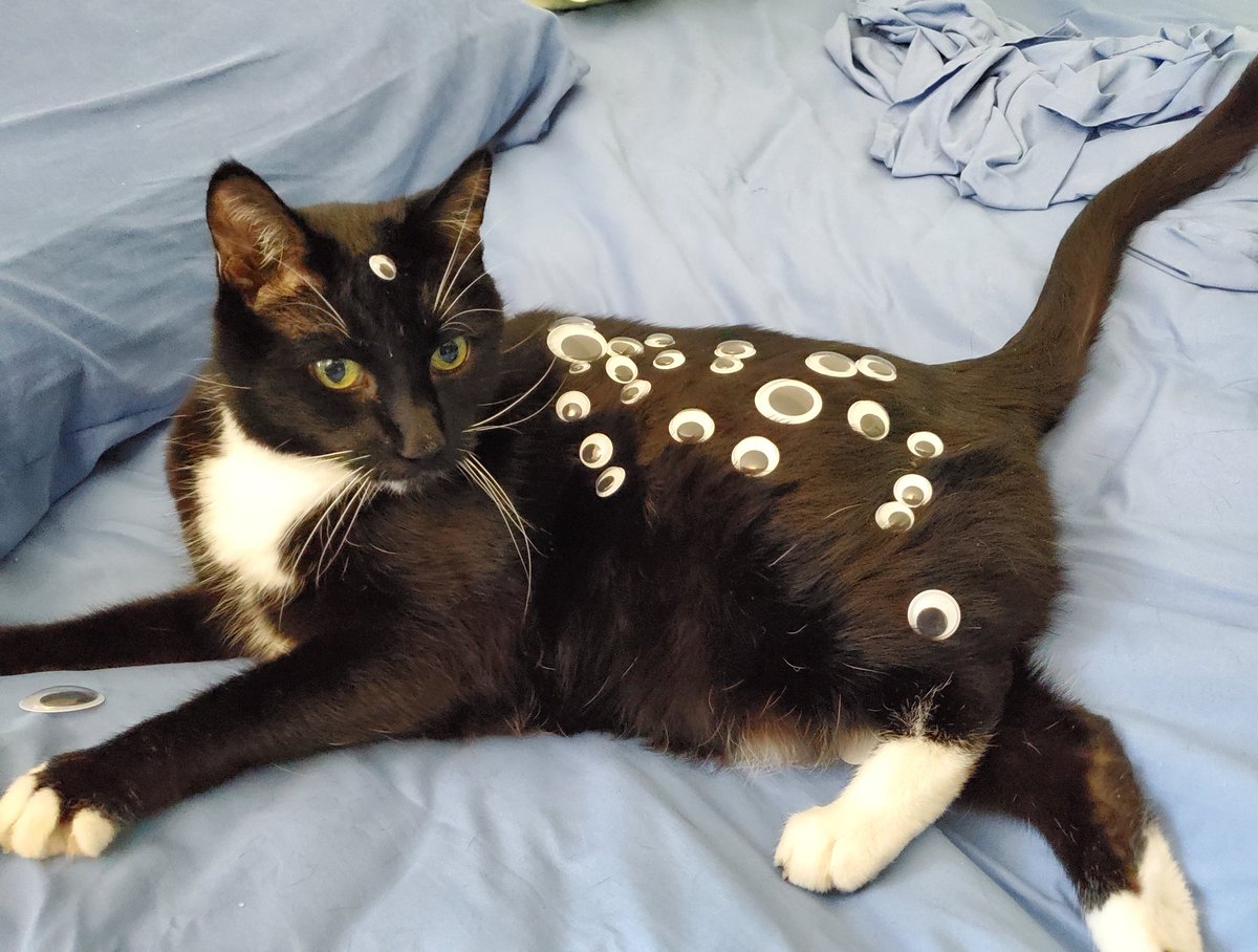 Biblically Accurate Cat