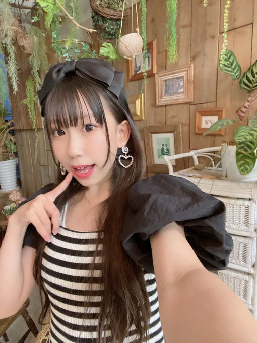 ギリギリ価格☆クロミちゃん【シェルローズ柄】-