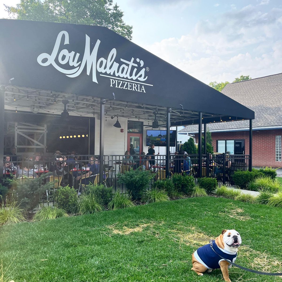 PorchlightPR's tweet photo. We’re petting all the dogs tonight at Pizza &amp; Pups on the Patio! Tonight’s event is part of the @LouMalnatis #SummerTour 🍕 Come check out their dog-friendly patio while the weather is still warm! https://t.co/mXRG92E8tO