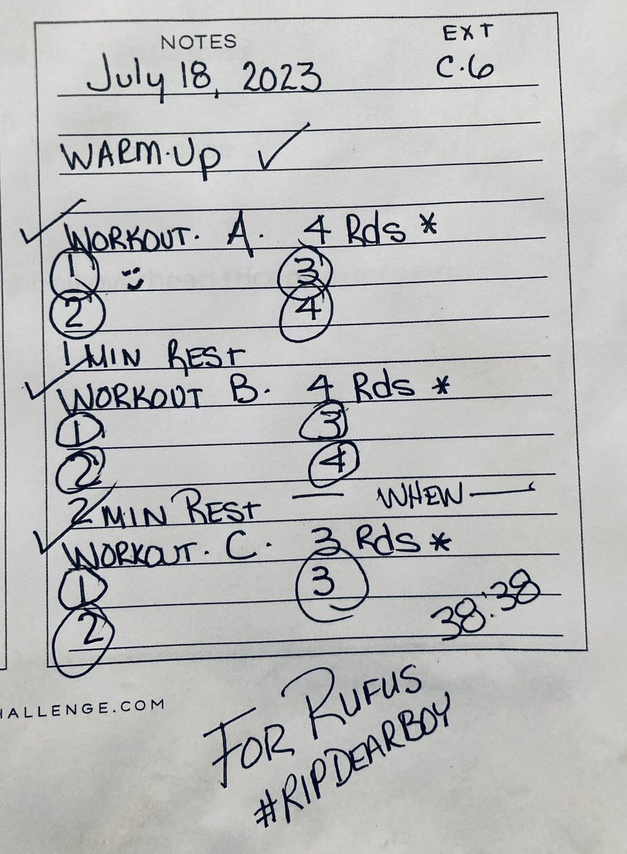 10MinDQ's tweet photo. Inspiration comes to me out of many directions, today grief and sadness. I knew I was going to need an all out throw it in day…#Capacity 6 with added rounds. @MyPeakChallenge did the deed. This one was for you darling boy. #RIPRufus🌈 #AdoptDontShop https://t.co/RpuroGuRU5