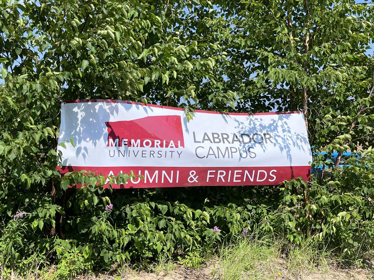 LabradorCampus's tweet photo. Thanks to the over 80 @MemorialU Alummi, students &amp; friends who came out for the Labrador Campus &amp; @MemorialUAlumni Strawberry U-Pick celebration at the #PyeCentre! It was a fabulous afternoon celebrating food &amp; friends! 

Thanks to Johnson Insurance for supporting this 🍓event! https://t.co/0EHp9Xg7jV