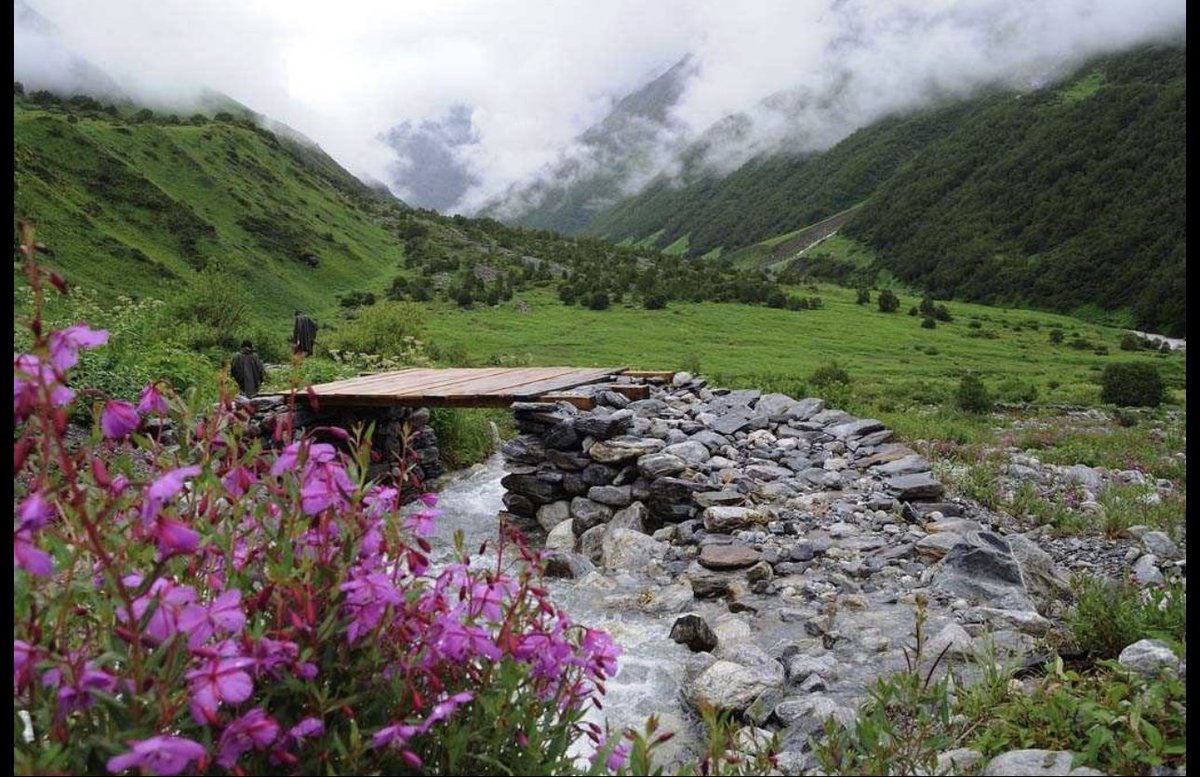 IndianVisaGov's tweet photo. #vacation #indisk #indien #indiano #visum #visto #viza #sightseeing #apply #urgent #transit apply Indian eVisa online at https://t.co/jrQCFeY6Dk https://t.co/IOpqMjA9y4