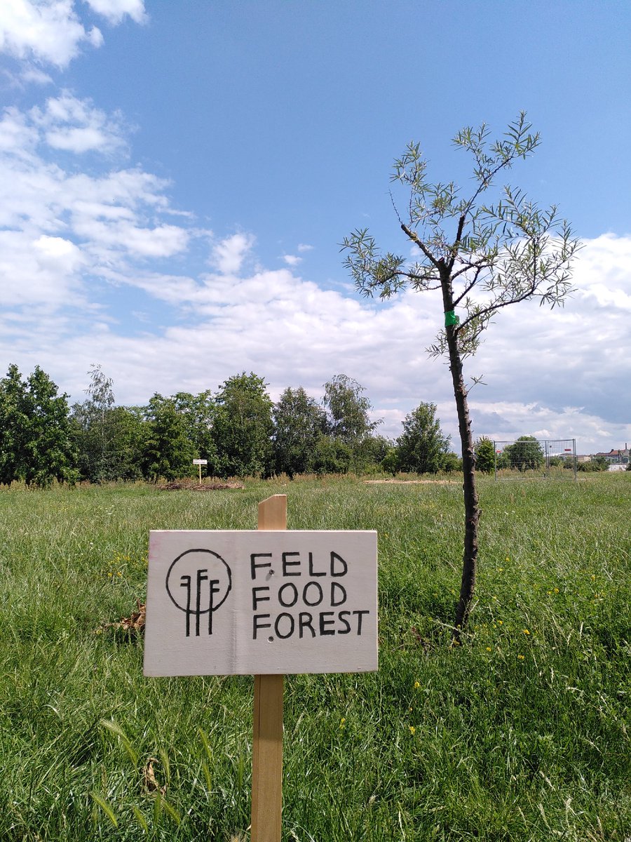 tempelhoferin tweet media