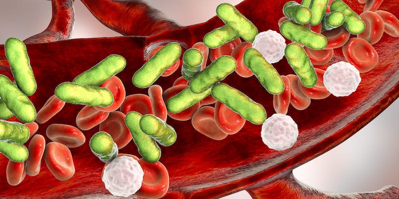 CLPmag's tweet image. Delay in sepsis diagnosis increases the risk of dying by 8% every hour; and can lead to the unnecessary use of strong antibiotic therapies. #sepsis #sepsisdiagnosis #clinicaldiagnostics #clp #diagnostics 
buff.ly/3pTptRO