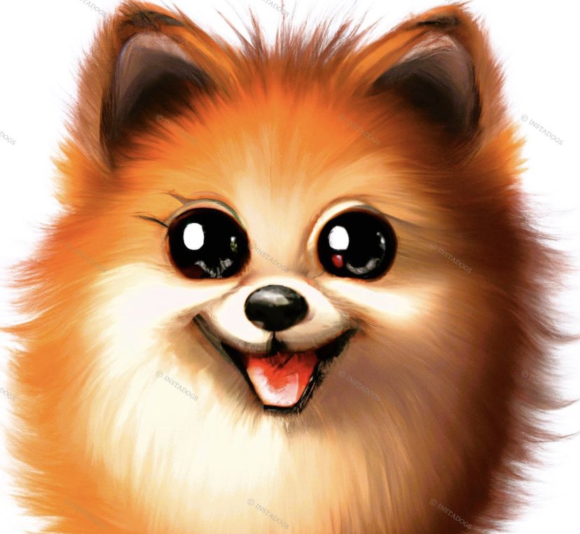 lnstadogs tweet picture