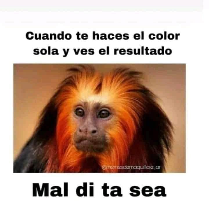 torresgustavot1's tweet photo. #TeInvitooA que te buelvas a pintar solita 🤷🏻‍♂️🤭😆😆😆👌

#Pacific_Team 🌊😁👌 https://t.co/AK52l9Z42D