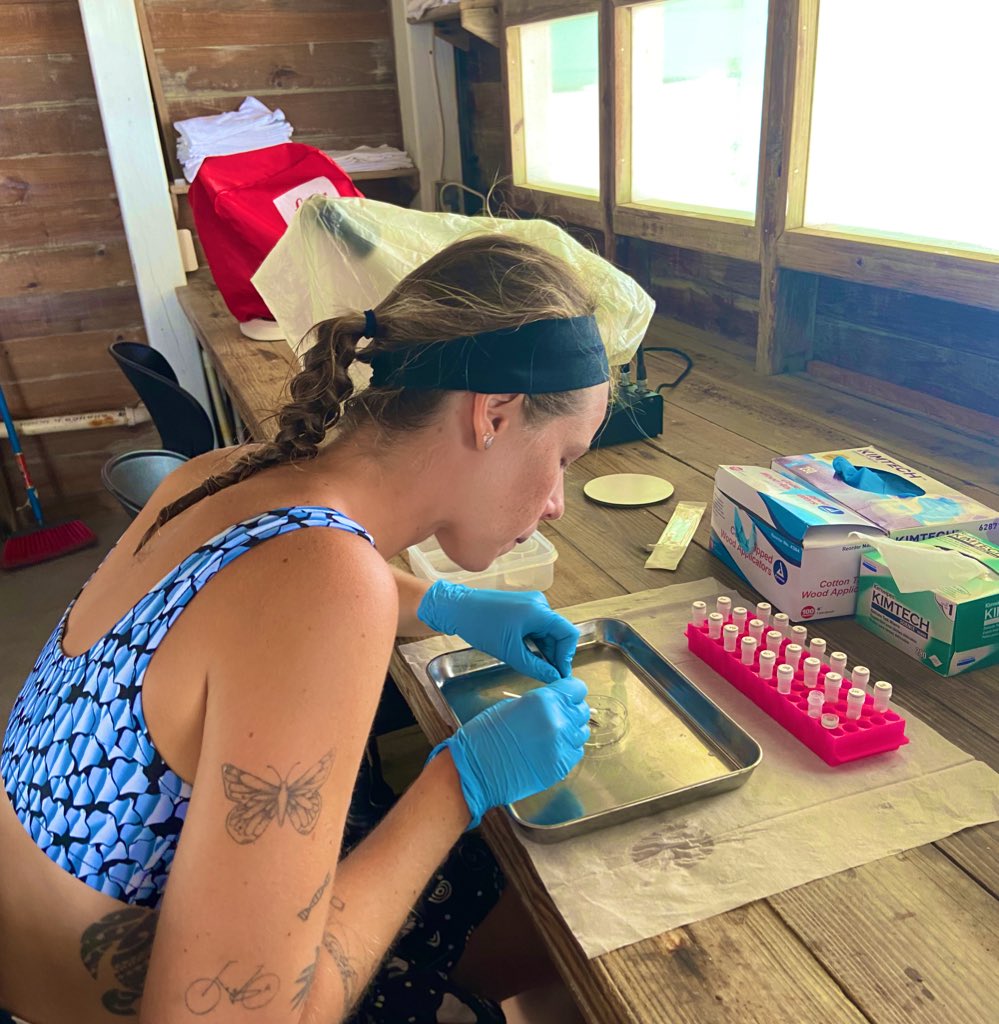 ingridbunholi's tweet image. Wrapping up a great first week! Our stellar team has been diving deep into the relationship of little guys 🐠 and their habitats! Stay tuned!