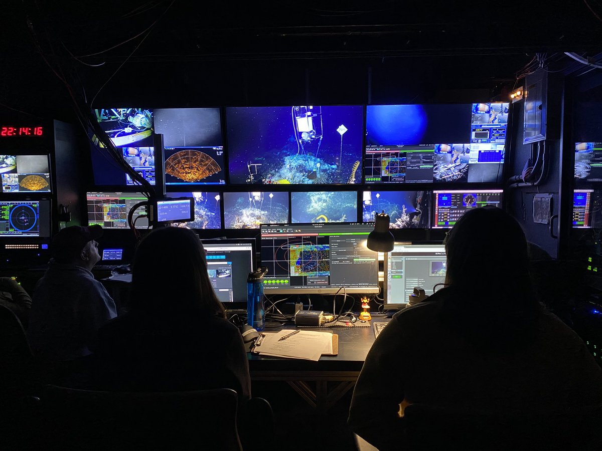 Hiiiiiiiiiii seafloor. Missed you. 
#protatax23 #nsffunded #rovjason #axialseamount #hydrothermalvents #deepsea #ocean #microbe #explore