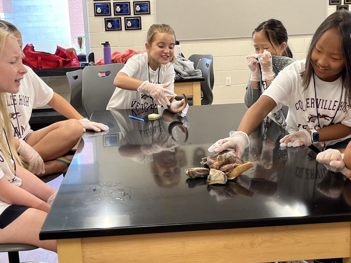 Collierville FFA tweet media