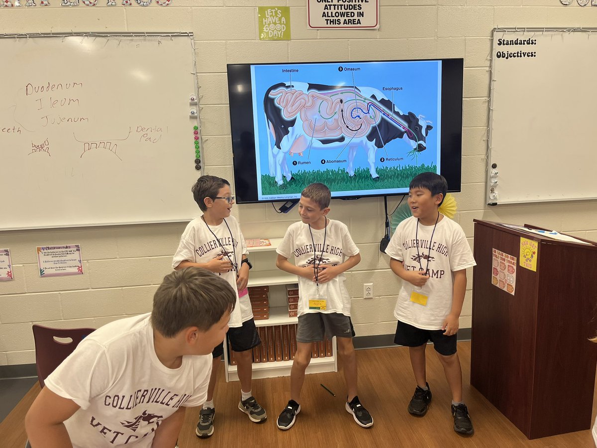 Collierville FFA tweet media