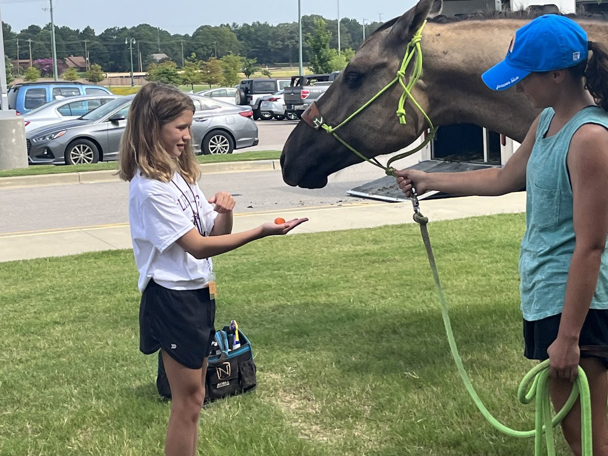 Collierville FFA tweet media