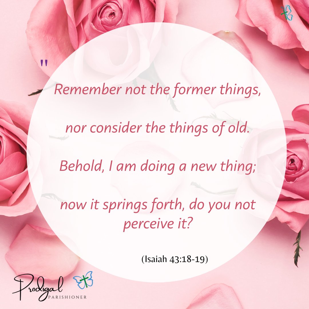 createsoulspace's tweet photo. #sacredscripture #Catholictwitter #newbeginning #makeallthingsnew #createsoulspace https://t.co/zCPJZ7XCbS