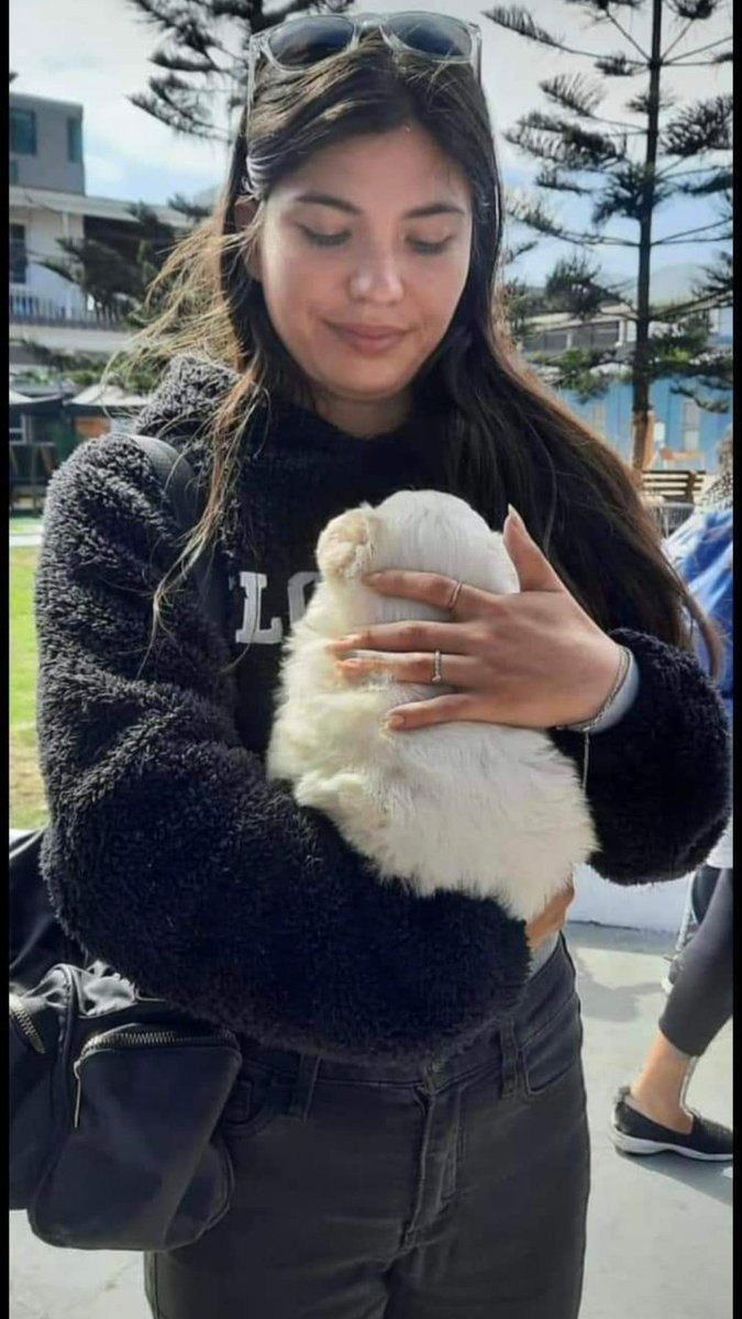 yaquitaiqq's tweet photo. Esta mujer adoptó a este perrito en jornada el día 9 de julio. Resulta el perrito apareció maltratado en alto Hospicio. Lleno de pegamento y vagando. El perrito está resguardado.
Q todos sepan quien es no olviden su cara para q nunca más le den animales
#Iquique #AltoHospicio https://t.co/bNOId8j828