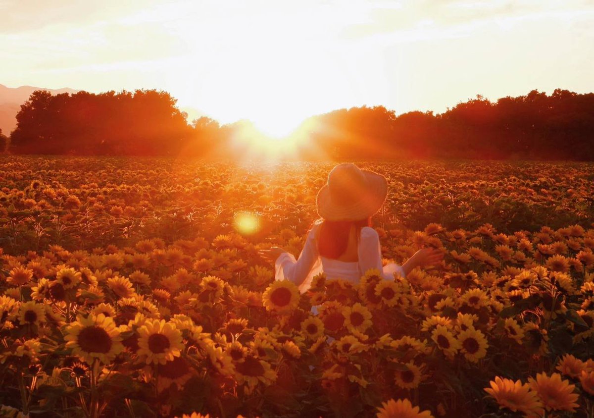 "Just saw the sun take a dip in the ocean like it's on vacation. Must be nice being a star. #sunset #vacayvibes #livingmybestlife" 😂🌅🌊 #夕阳