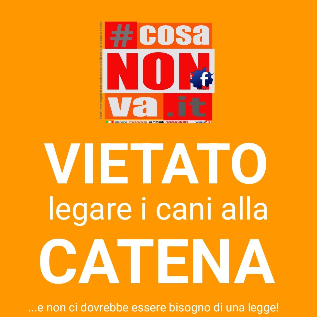 -
Mettete una ciotola d'acqua fuori al vostro negozio, fuori al vostro portone o cancello.
Non chiudeteli fuori.
NON LEGATELI ALLA CATENA!
#cane #cani #animali
-
#aprilia #cisternadilatina #anzio #nettuno #latina #pontinia #sezze #priverno #sabaudia #sanfelicecirceo #terracina