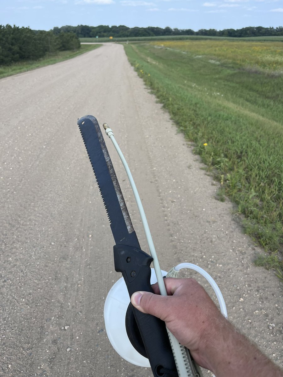 NwMnBiologist's tweet photo. Just because you see some weirdo walking down the gravel road all sweaty and carrying a machete and a hand sprayer, it doesn’t mean you need to call the sheriff. 

I was just killing weeds in my prairie restoration, ok?! https://t.co/BE9BuSMW1h