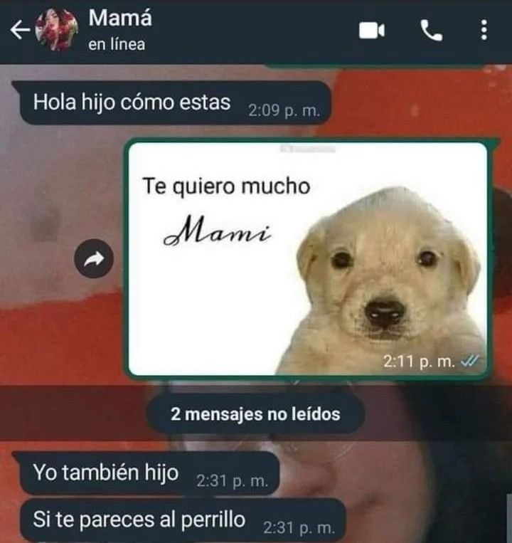 pelirrojohungry's tweet photo. gracias mamá https://t.co/DKDwNFcsfz