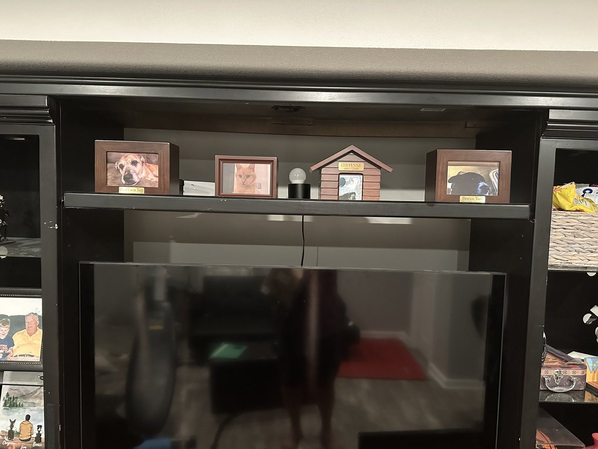 Jimvtodd68's tweet image. Will miss you Calvin. You were  a great cat!! Say hi to Cheyenne, Chief and Bronco.