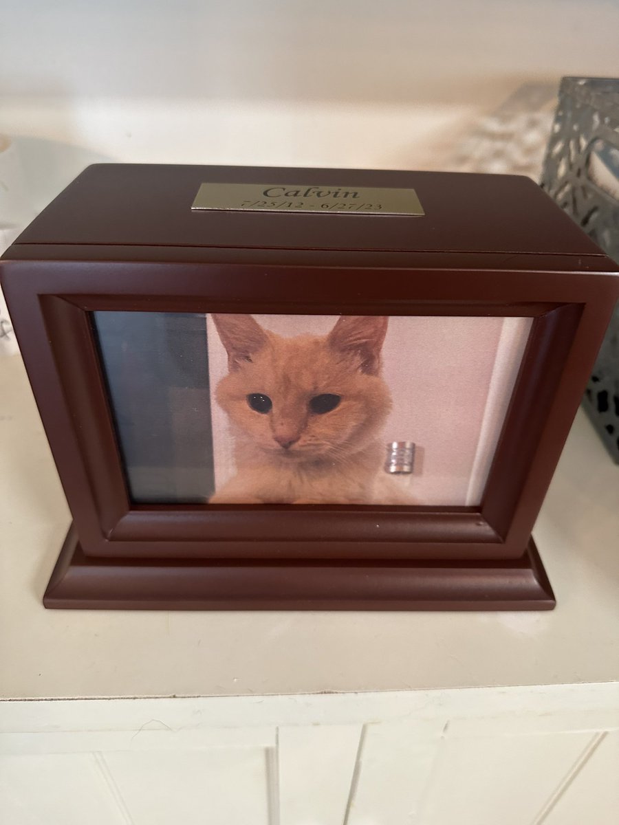 Jimvtodd68's tweet image. Will miss you Calvin. You were  a great cat!! Say hi to Cheyenne, Chief and Bronco.