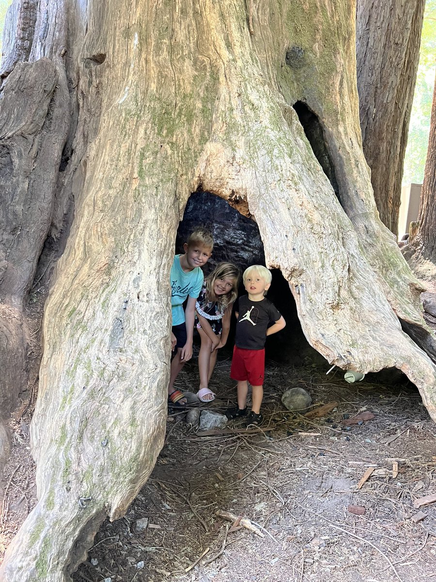 Jonathan Eagan tweet media