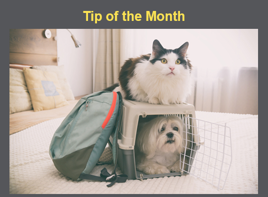 homeloanschick's tweet image. PCSing? Make sure your pet, is comfortable with the carrier they will be in during the move. Introduce the new carrier to them a few weeks in advance. Leave the carrier in an area of your house your pet walks by often. 
#PCS #pcsing #washingtonstate #VA #military #activeduty