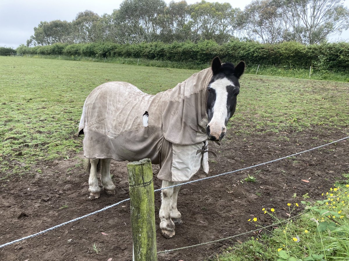 Very rare to see this level of tailoring nowadays, even on the wealthy. So let's talk about some of the reasons why it's great. 🧵