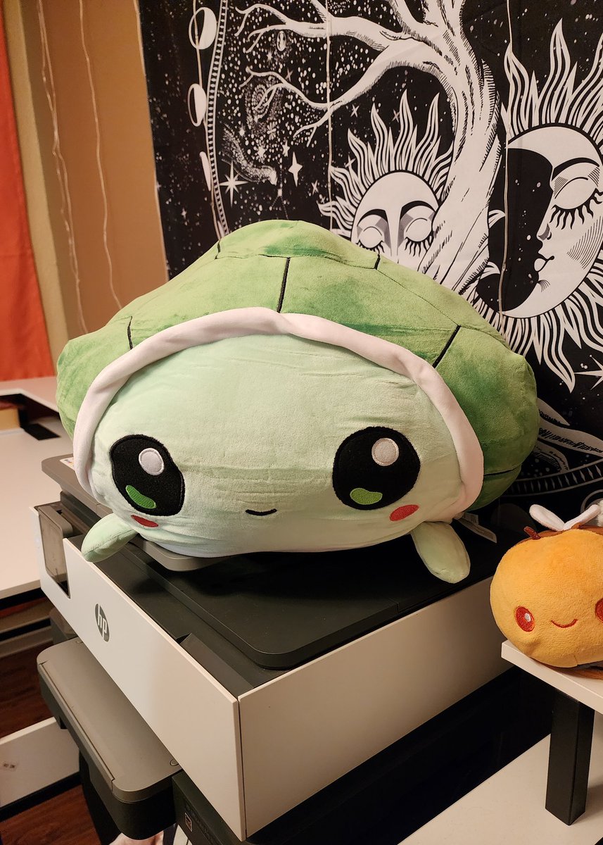 Becka_Kayy's tweet image. Best boyfriend ever @NefasQS got me the @TeeTurtleHQ giant moody turtle plushie I've been wanting!! I love it so much 🥰 🐢

#plushies #turtle #TeeTurtle