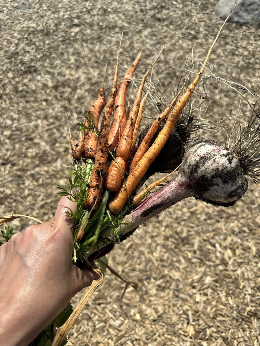 Tomsett School tweet media