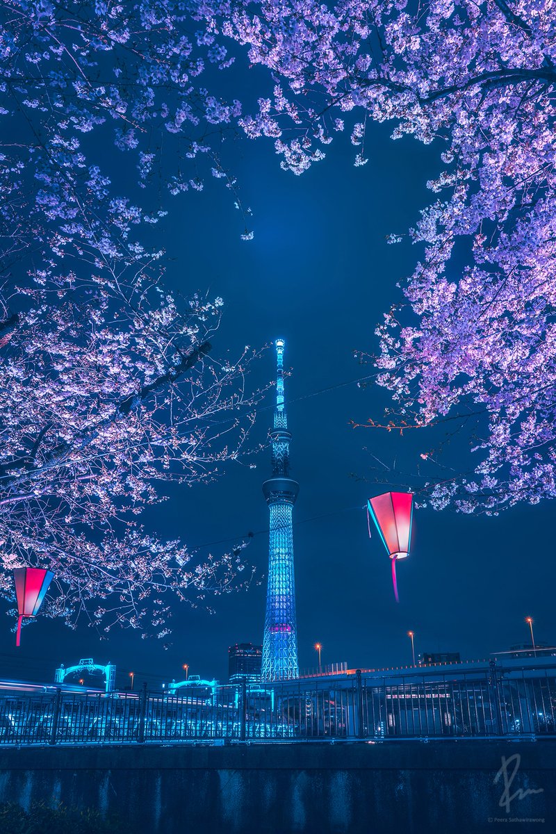 Peera_Foto tweet media