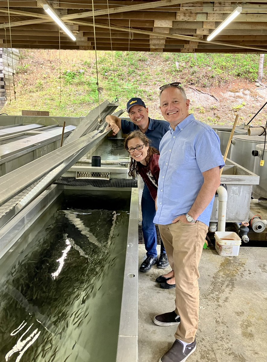 Nathan Cullen tweet media