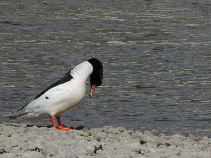 Daily Wisdom - mailchi.mp/wccm/ywfciz5o8…