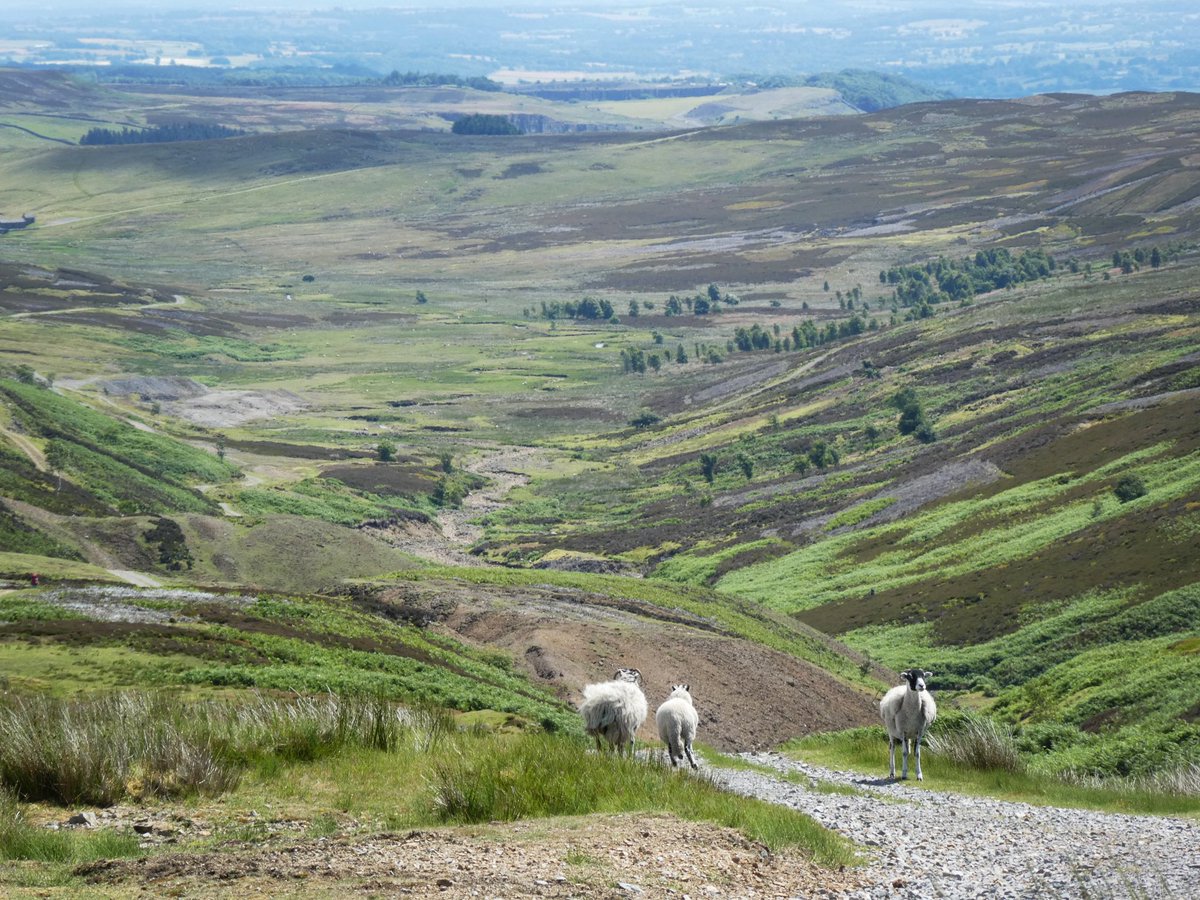 Apedale, between Swaledale and Wensleydale. Heavily mined in the past and has a rather desolate beauty.