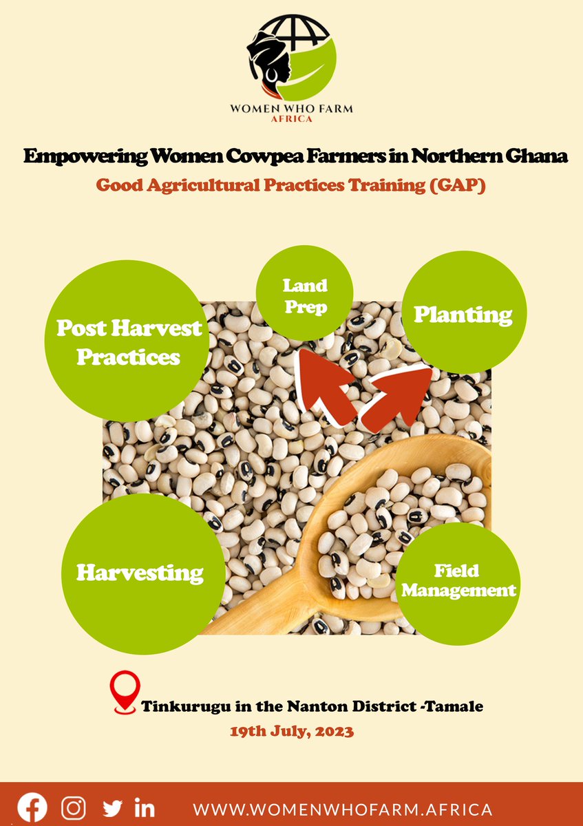 Join us today in the Nanton District as we learn and unlearn how we grow our favourite Gob3 ( Cowpea) with our women farmers. @josephopoku1990 @abigaildakoto @RuramisoM @Sussana_Phiri #wefarm #womenempowerment