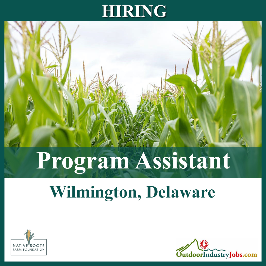Native Roots Farm Foundation is hiring a part-time Program Assistant in Wilmington, Delaware. Apply Here: myjob.fun/44gUU7v #nativehistory #NowHiring #Hiring #Job #JobSearch #delaware #nonprofit #nonprofitjobs #philanthropy #community #parttime #remotework #hybrid