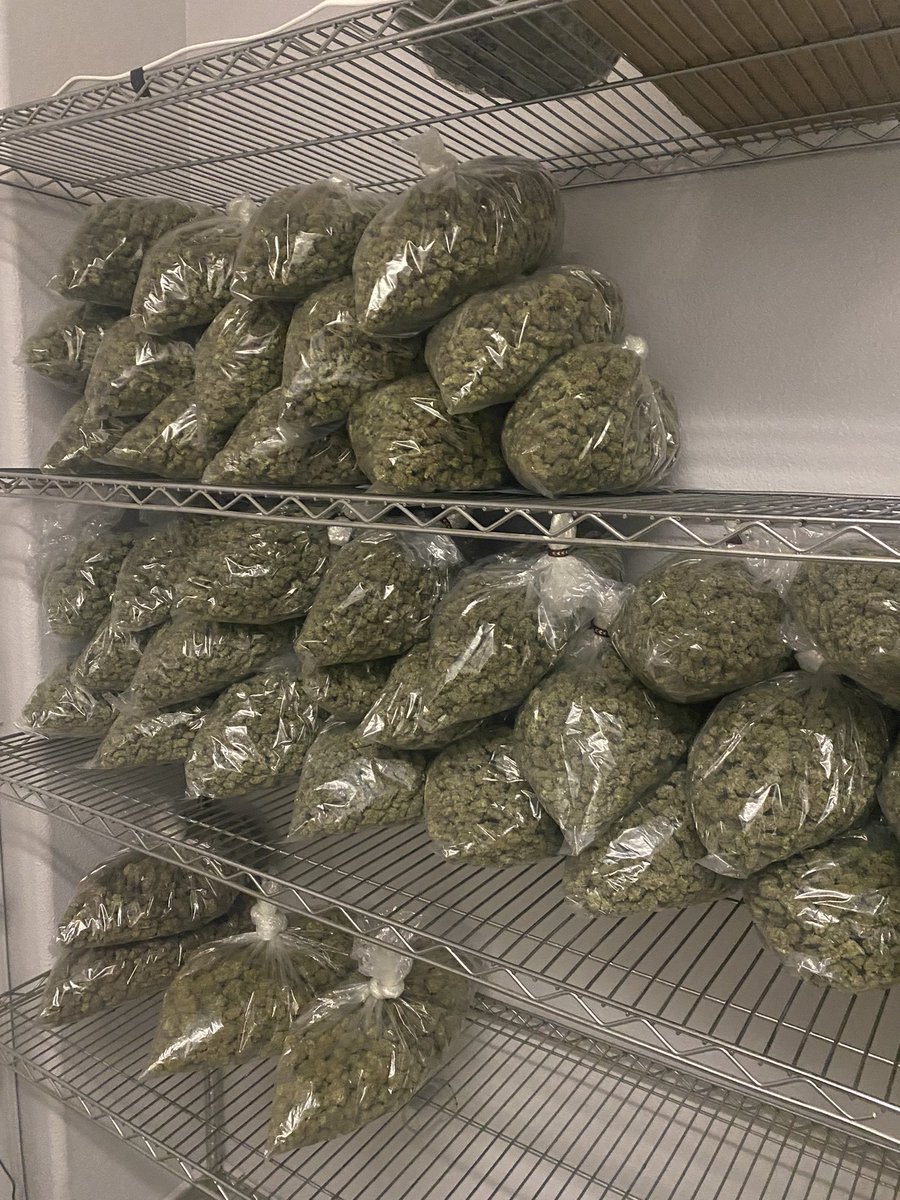 cabf_nft's tweet photo. I think itβs about time for a refill π€
Running low on bulk licensed flower, to stay up to date on our inventory check out our #ChadHub Telegram ππ½
πͺͺ: C12-0000334-LIC
#CABF #CHAD #CABFNFT
https://t.co/i9UWHyqDeE https://t.co/5rXidKfliT